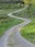 meandering taylor mountain road