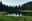mosquitos and Hen Skin Lake