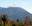mt washington over the trees with cloud