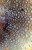 mushroom pattern