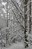 mv snow