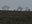 point arena foggy trees