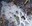pond ice pattern