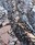 rock pattern