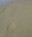 short sands footprints