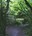 timber trail
