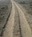 track at sonoma coast state beach