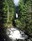 wallace falls