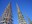 watts towers