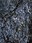 wet rock pattern