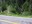 where east side trail crosses the road